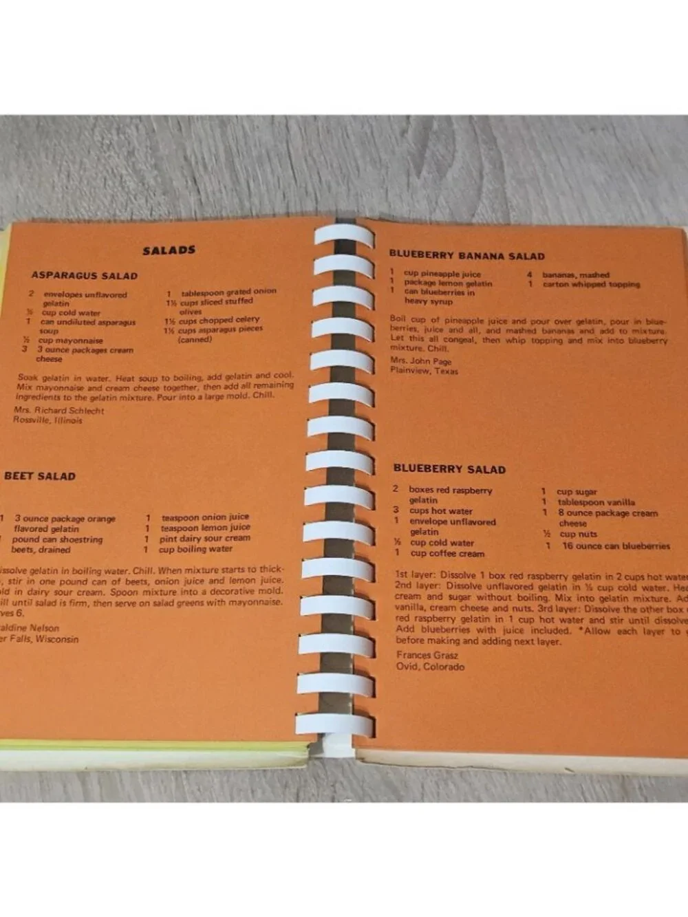 Vintage Shur Fine Foods Samplings from the Garden of Goodness Cookbook (1976)